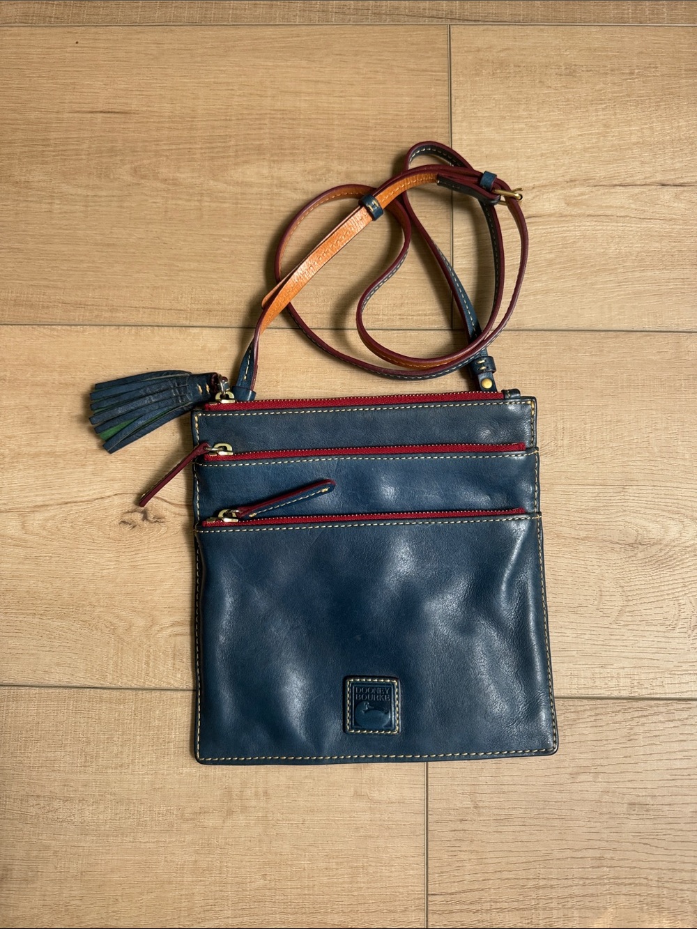 Dooney & Bourke Navy Leather Crossbody with Red Trim and Multi-Color Strap